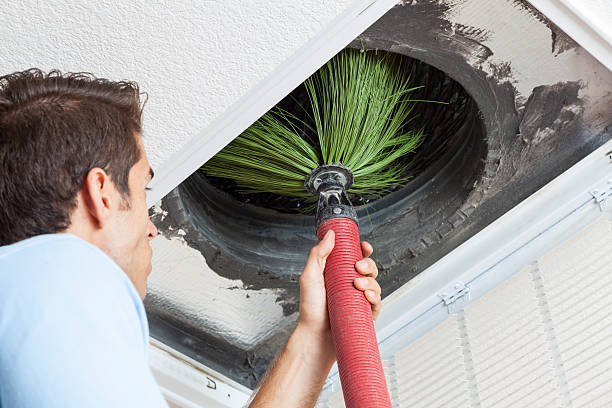 Air Duct Mold Removal in West Jordan, UT